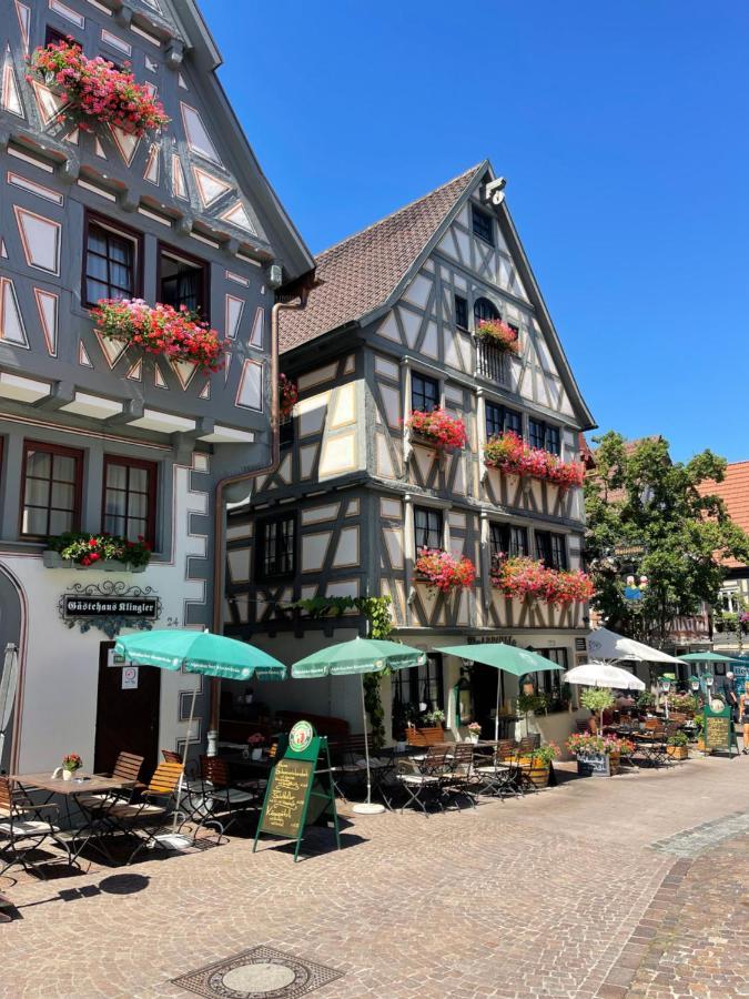 Gaestehaus Klingler Besigheim Eksteriør bilde